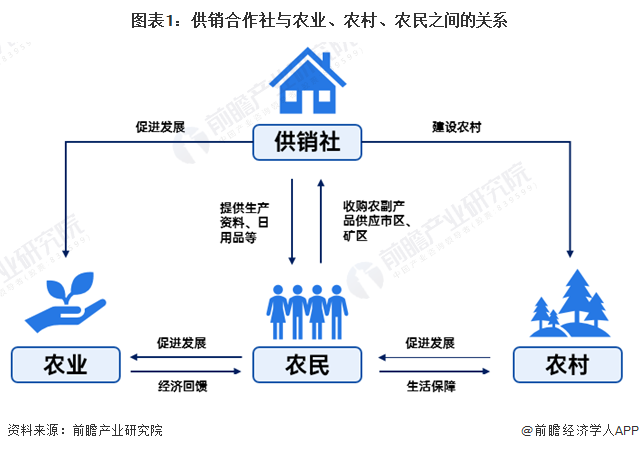 早期合作社经营模式，探索历程与启示