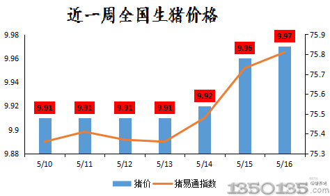 今日猪价最早行情中国